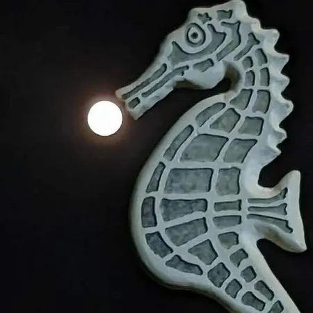 Hippocampus House Semesterbostad *